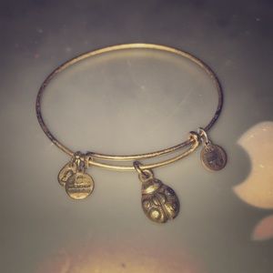 Alex and Ani bracelet